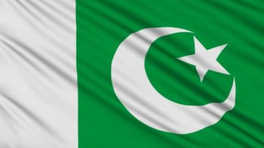 bir kumaş gerçek yapısı ile Pakistan bayrağı