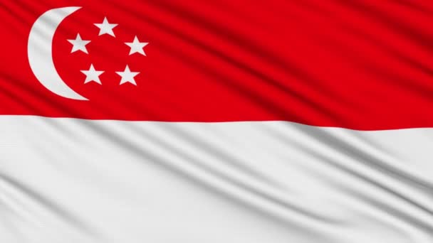 Vlajka Singapuru, skutečnou strukturu tkaniny — Stock video
