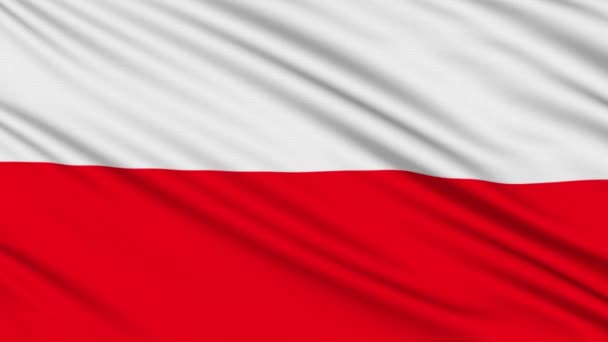 Bandeira polonesa, com estrutura real de um tecido — Vídeo de Stock