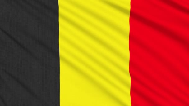 Belgian flag, with real structure of a fabric — Stock Video