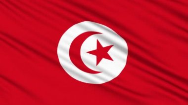bir kumaş gerçek yapısı ile Tunus bayrağı
