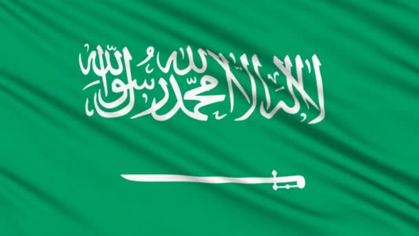 Saudi Arabia flag, with real structure of a fabric — Stock Video