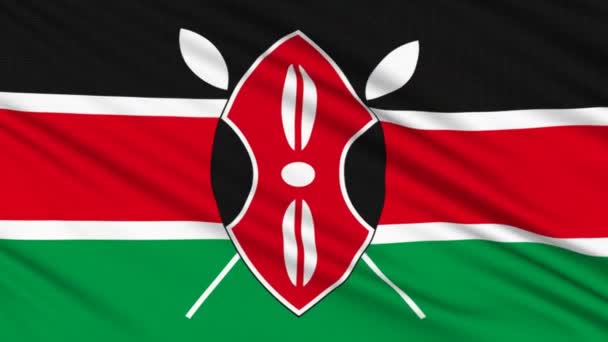 Drapeau du Kenya, avec la structure réelle d'un tissu — Video