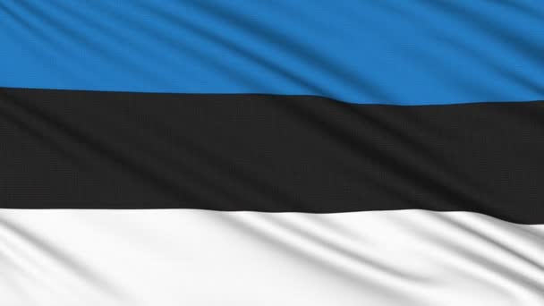 Estonia flag, with real structure of a fabric — Stock Video