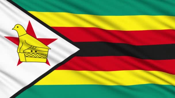Vlag van Zimbabwe, met echte structuur van een stof — Stockvideo
