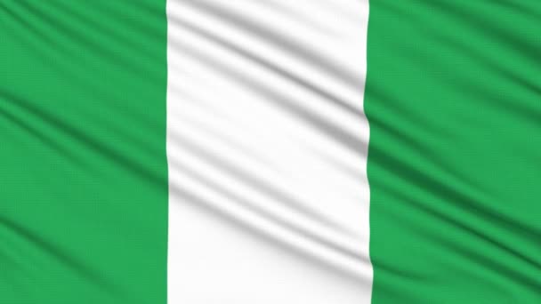 Nigeria-Fahne, mit realer Struktur eines Stoffes — Stockvideo