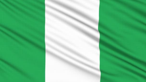 Bandiera Nigeria, con struttura reale di un tessuto — Video Stock