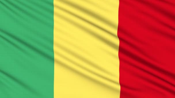 Vlag van Mali, met echte structuur van een stof — Stockvideo