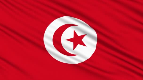 Vlag van Tunesië, met echte structuur van een stof — Stockvideo