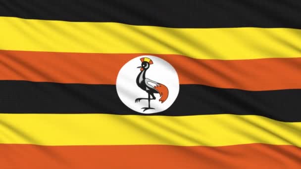 Ugandaflagge, mit realer Struktur eines Stoffes — Stockvideo