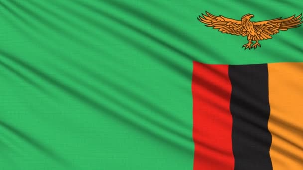 Vlag van Zambia, met echte structuur van een stof — Stockvideo