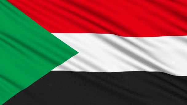Drapeau soudanais, avec structure réelle d'un tissu — Video
