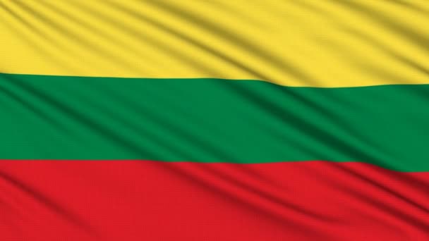 Lithuanian flag, with real structure of a fabric — Stock Video