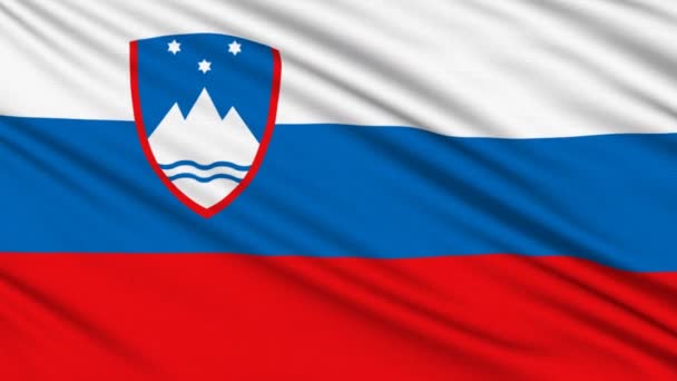 Flaga słoweńska, z prawdziwą strukturę materiału — Wideo stockowe