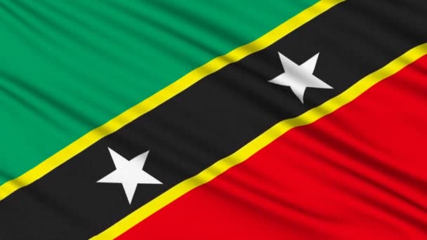Saint Kitts and Nevis flag , with real structure of a fabric — Stock Video