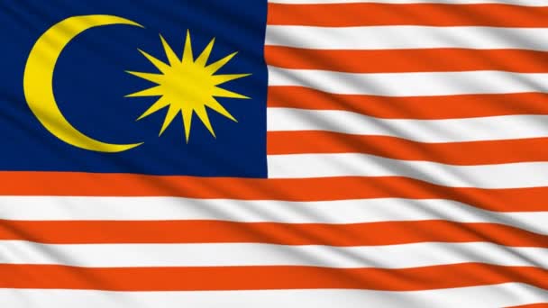 Maleisische vlag, met echte structuur van een stof — Stockvideo