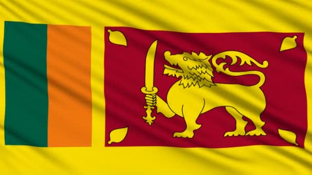 Vlag van Sri lanka, met echte structuur van een stof — Stockvideo