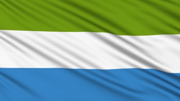 Sierra Leone Flag, with real structure of a fabric — Stock Video