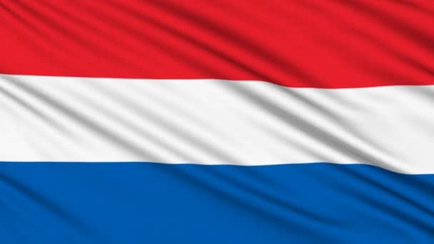 Holländische Flagge, mit realer Struktur eines Stoffes — Stockvideo