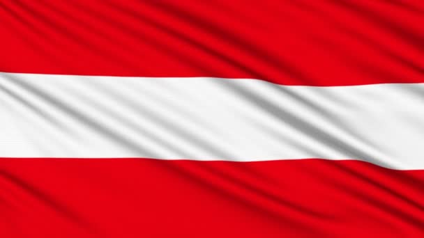 Bandera de Austria, con estructura real de un tejido — Vídeos de Stock