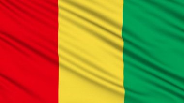 bir kumaş gerçek yapısı ile Gine bayrağı