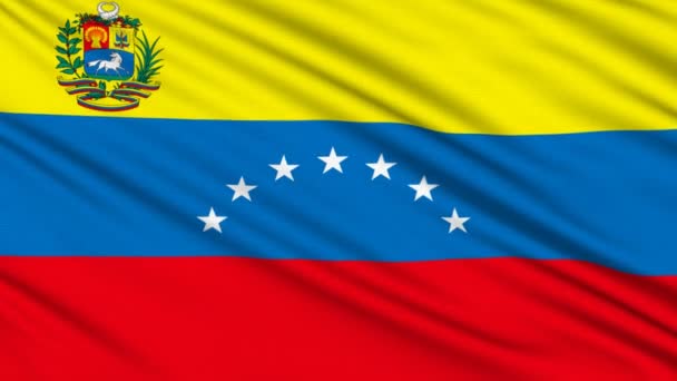 Bandera Venezolana, con estructura real de un tejido — Vídeo de stock