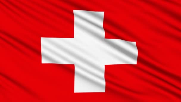 Bandera suiza, con estructura real de un tejido — Vídeos de Stock