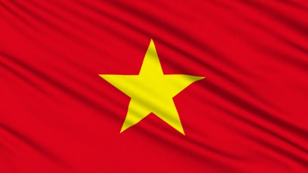 Drapeau vietnamien, avec la structure réelle d'un tissu — Video