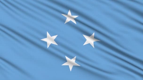 Bandera de Micronesia, con estructura real de un tejido — Vídeos de Stock