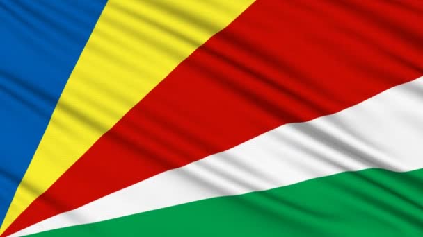 Vlag van de Seychellen, met echte structuur van een stof — Stockvideo