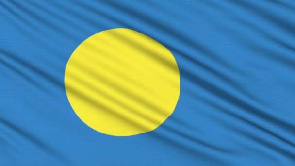 Palau Flagge Symbol, mit realer Struktur eines Stoffes — Stockvideo