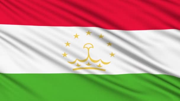 Tajikistan Flag, with real structure of a fabric — Stock Video