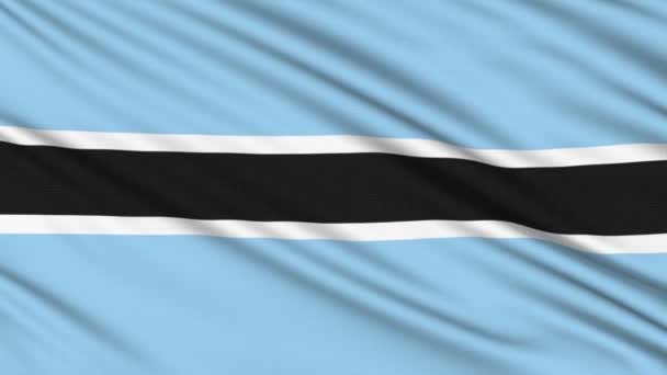 Vlag van Botswana, met echte structuur van een stof — Stockvideo