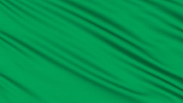 Bandeira líbia, com estrutura real de um tecido — Vídeo de Stock