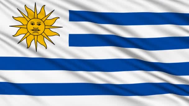 Флаг Уругвая, с реальной структурой ткани — стоковое видео