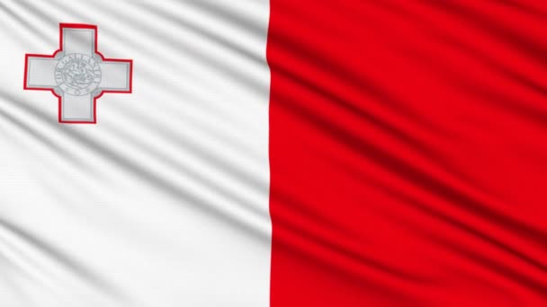 Мальтийский флаг, с реальной структурой ткани — стоковое видео