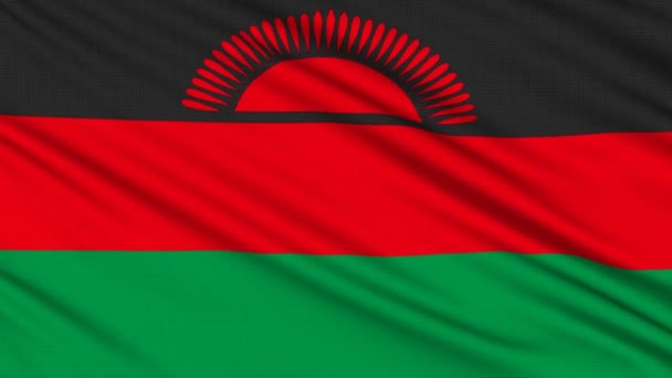 Bandeira do Malawi, com estrutura real de um tecido — Vídeo de Stock