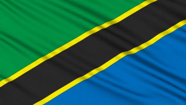 Tanzánia zászló, igazi szerkezete egy szövet — Stock videók
