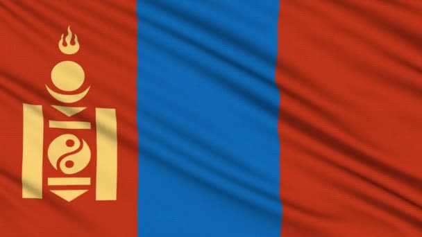 Mongolsko vlajka, skutečnou strukturu tkaniny — Stock video