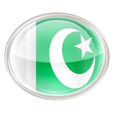 Beyaz arka plan üzerinde izole pakistan bayrağı simgesi.