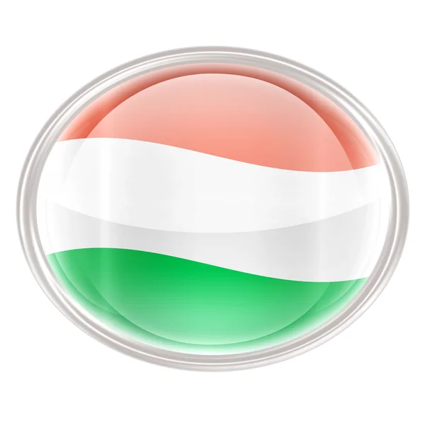 Ireland Flag Icon, isolated on white background. — Stockfoto