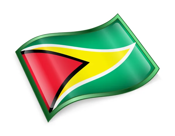 Het pictogram van de vlag van Guyana. — Stockfoto