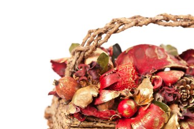 aromatik bitkiler