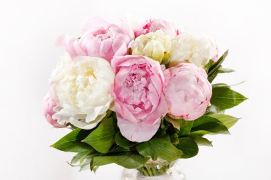 zengin peonies demet