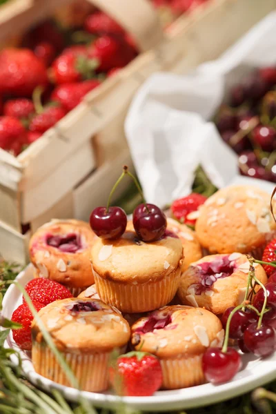 Summer muffins — Stock Photo, Image