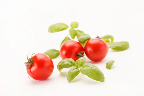Pomodori e basilico — Foto Stock