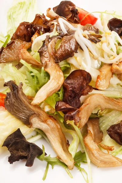 Salada asiática — Fotografia de Stock
