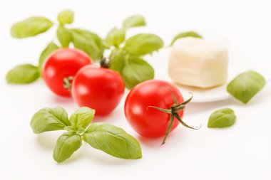 domates ve fesleğen