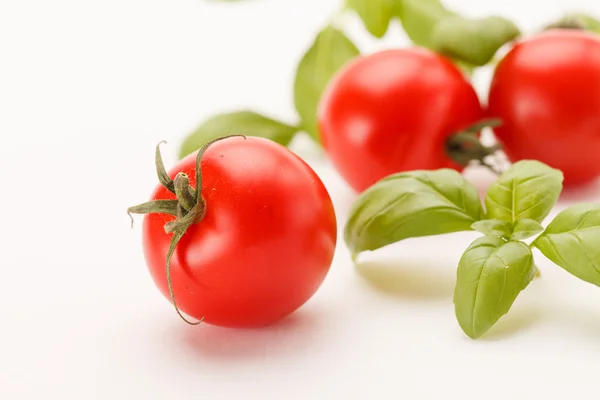 Tomatoes and basil — Stock Photo, Image