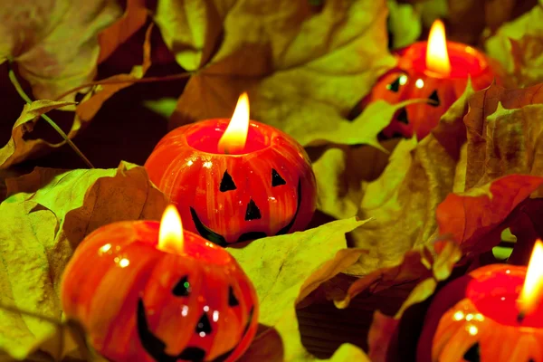 Halloween pompoenen — Stockfoto